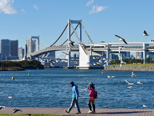 Odaiba Marine Park_1