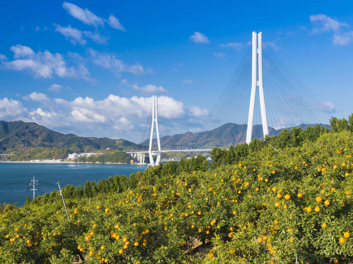 Shimanami Kaido Cycling_3
