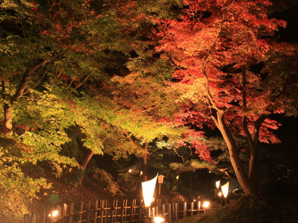 Ritsurin Garden_4
