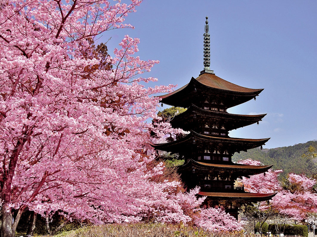 National Treasure Ruriko-ji Five Storey Pagoda_2