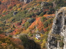 Shodoshima (Kankakei Gorge, Twenty-four Eyes Movie Village, Olive Park)_3