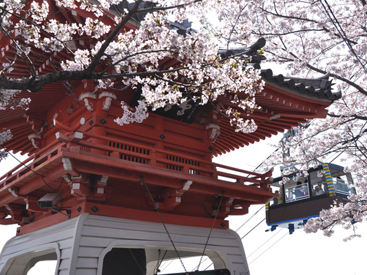 Senkoji Park_1