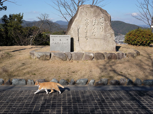 Senkoji Park_4
