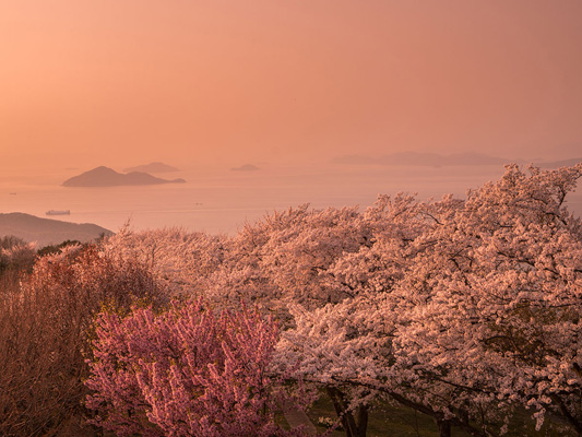 Mt. Shiude_3