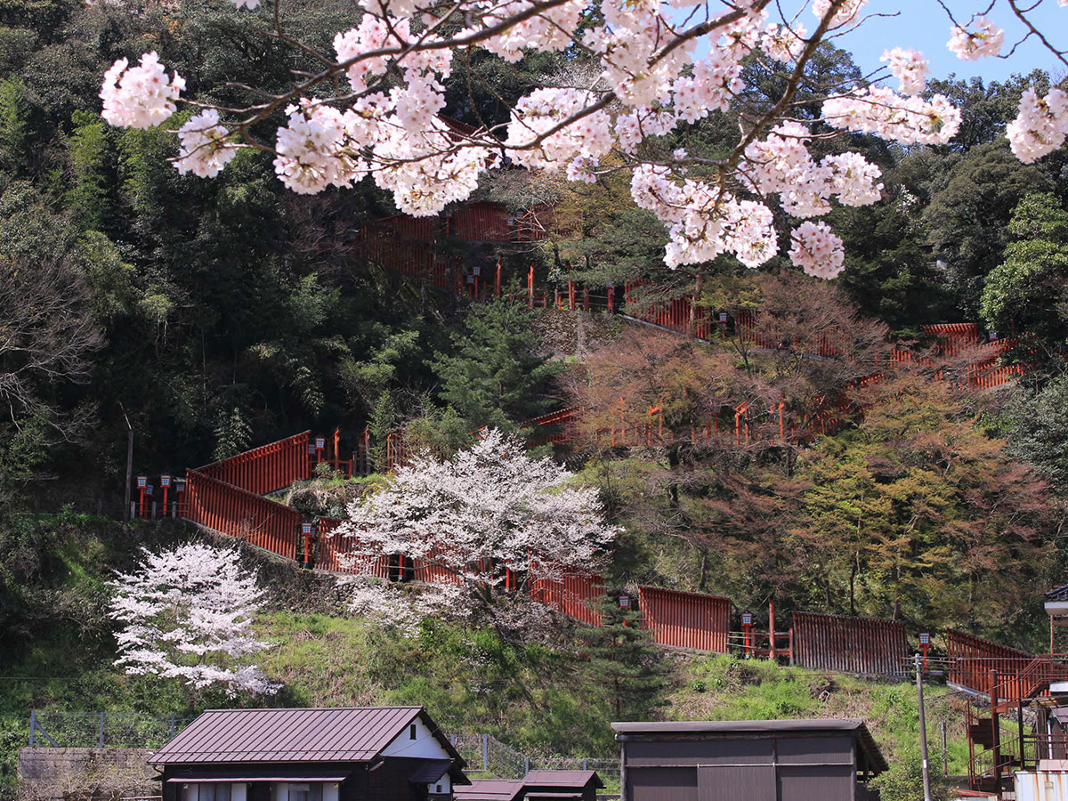Taikodani Inari Shrine_4