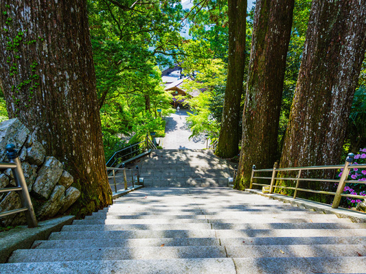 Tairyuji Ropeway_3