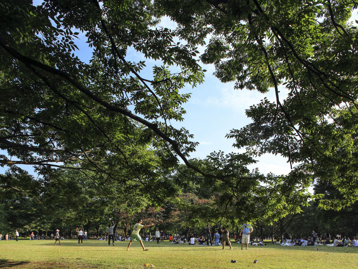 Yoyogi Park_3